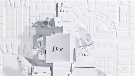 dior somerset|christian Dior official website.